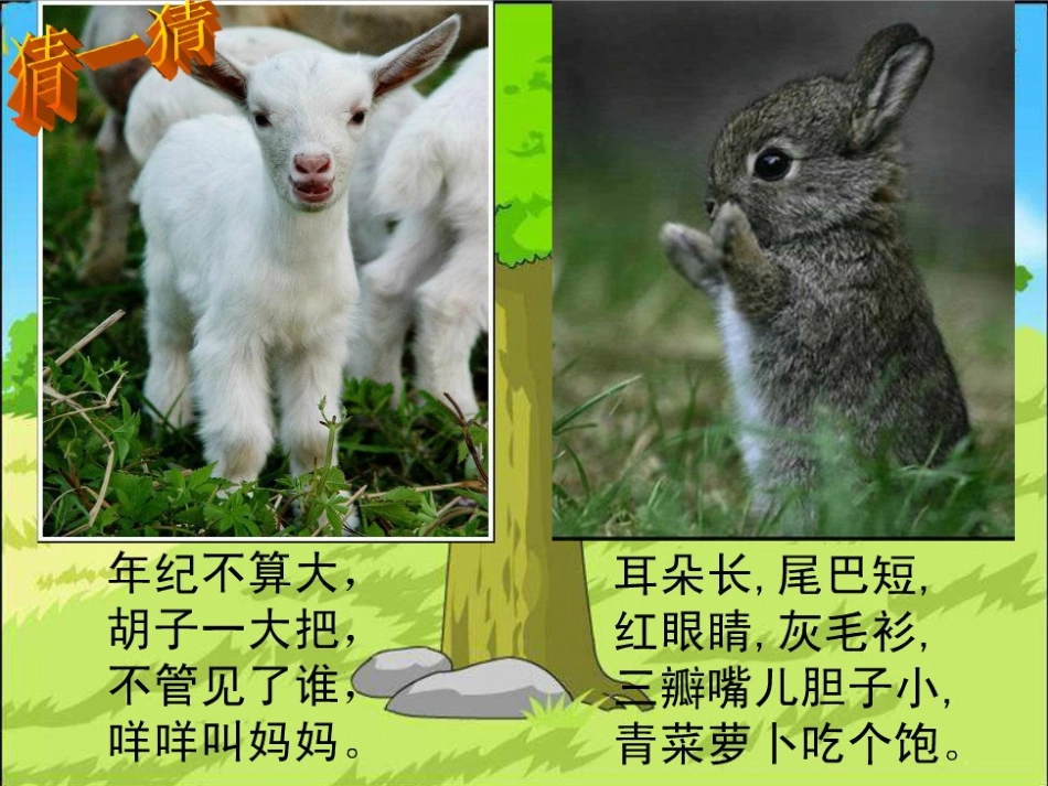 《小山羊和小灰兔》原创课件_第2页
