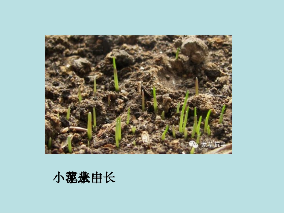 《我从哪里来》课件定稿_第2页