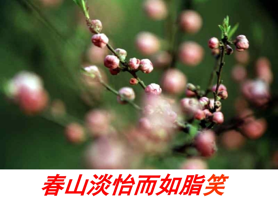 《追寻高雅生活情趣》参考课件2_第2页