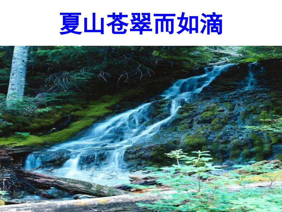 《追寻高雅生活情趣》参考课件2_第3页