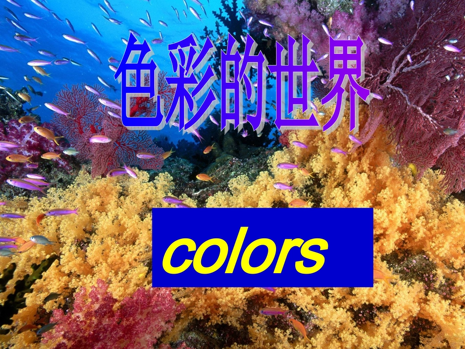新目标七年级英语starterUnit3period1_第2页