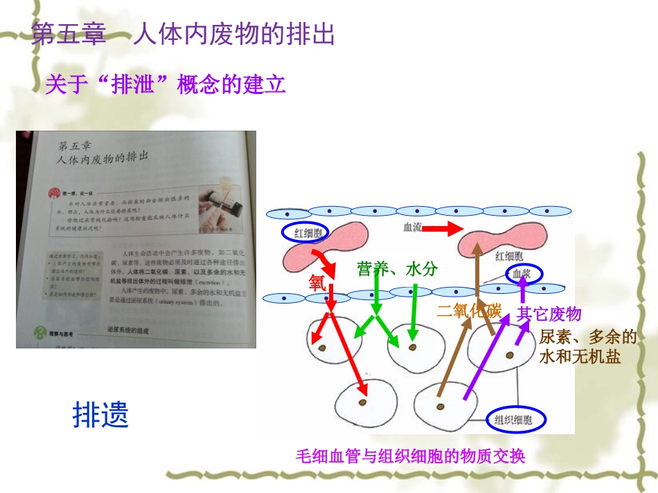 七下教材解析2_第2页