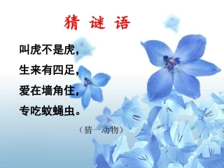 《小壁虎借尾巴》公开课