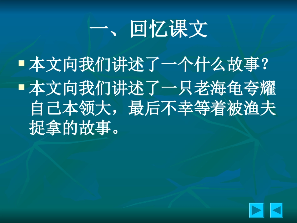 《老海龟的悲剧》课件演示_第2页