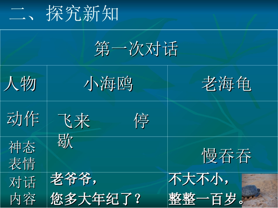 《老海龟的悲剧》课件演示_第3页
