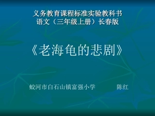 《老海龟的悲剧》课件演示
