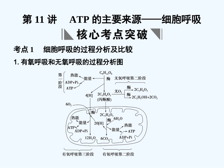 【创新设计】2011届高考生物一轮复习 第4章 第11讲 ATP的主要来源——细胞呼吸课件 苏教版必修1 _第1页