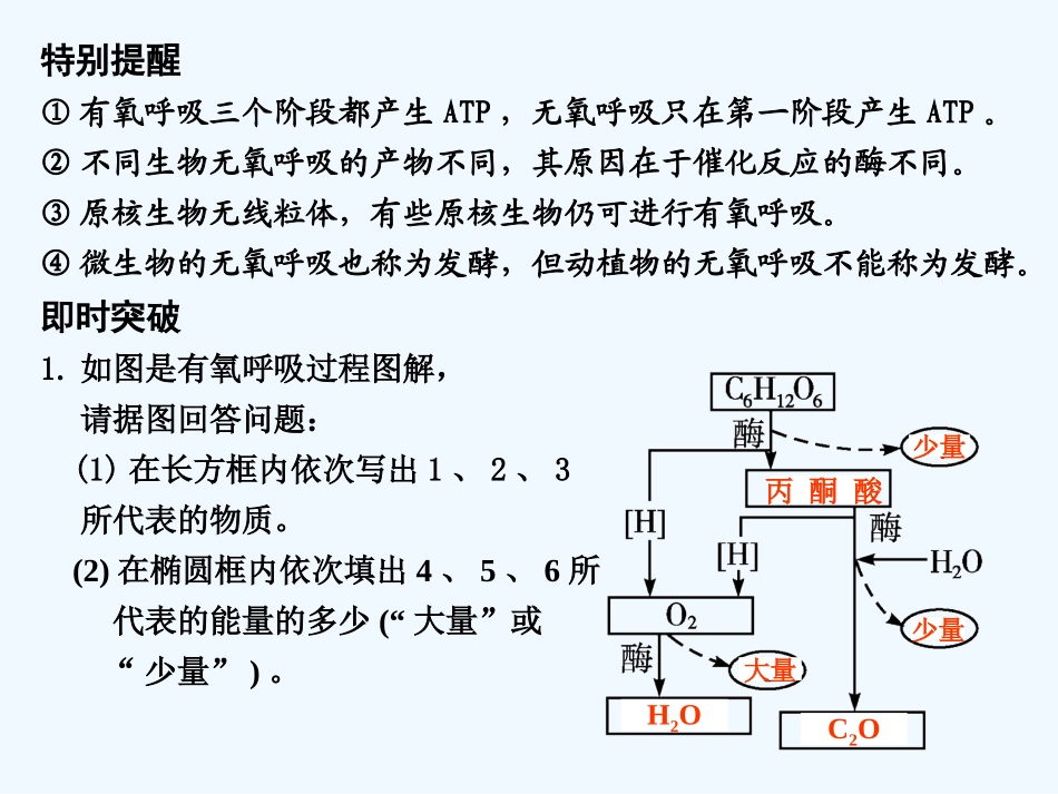 【创新设计】2011届高考生物一轮复习 第4章 第11讲 ATP的主要来源——细胞呼吸课件 苏教版必修1 _第3页