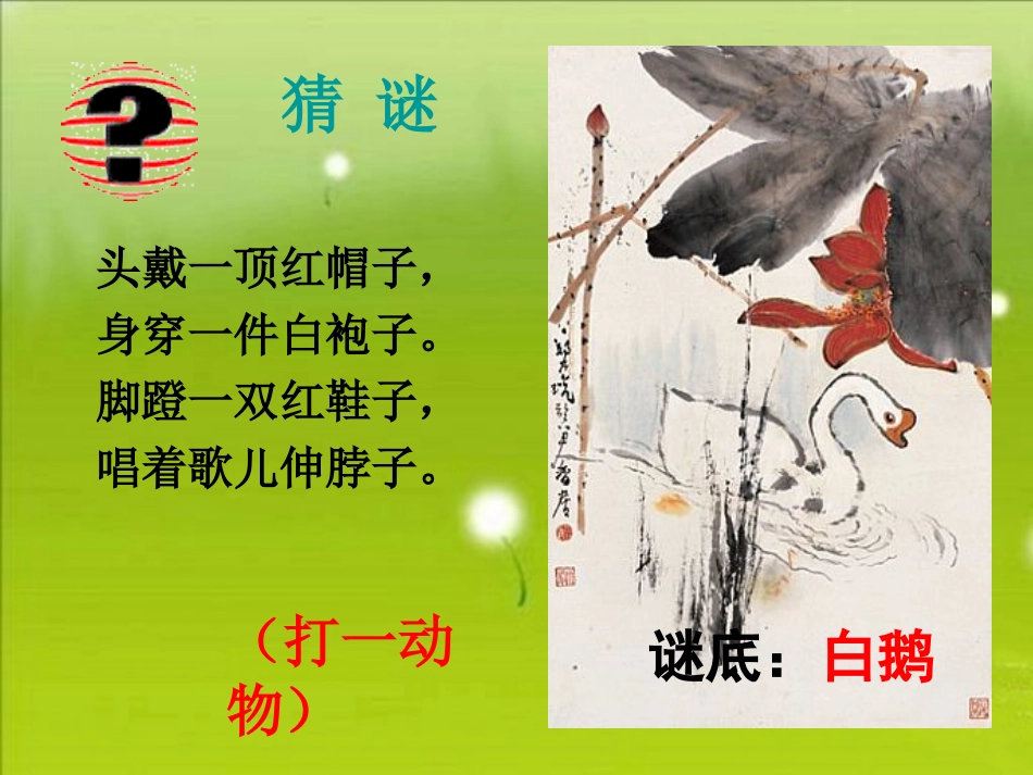 《白鹅》参考课件_第1页