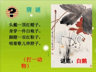 《白鹅》参考课件