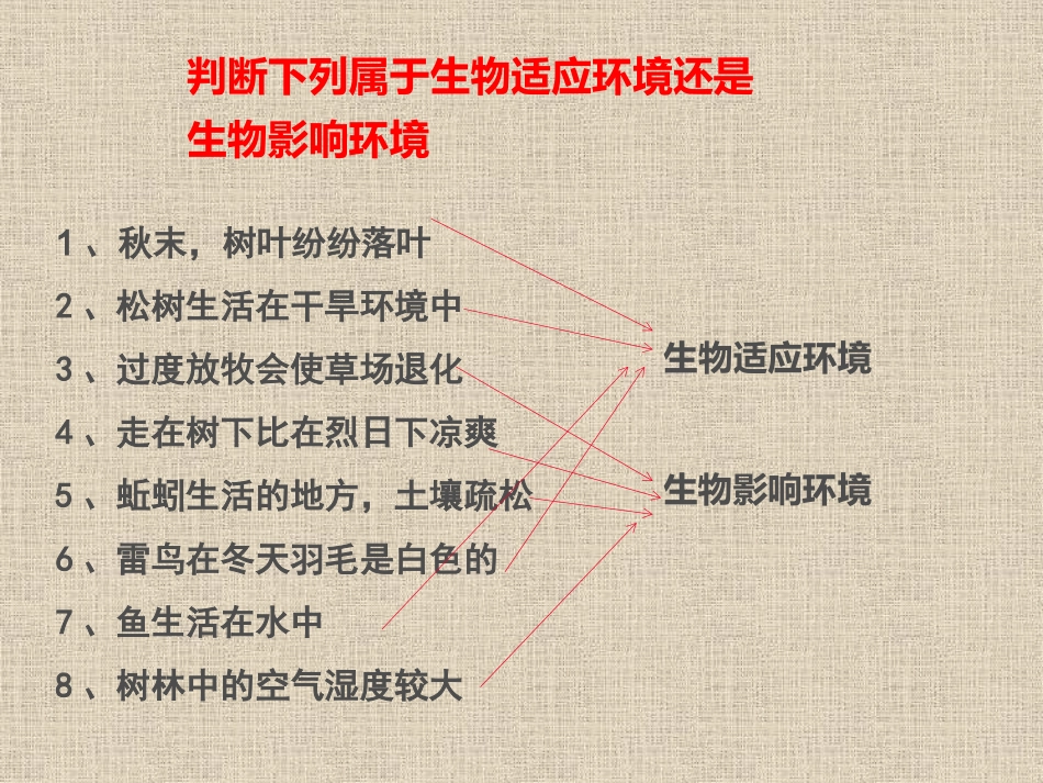 生物与环境组成生态系统_第3页