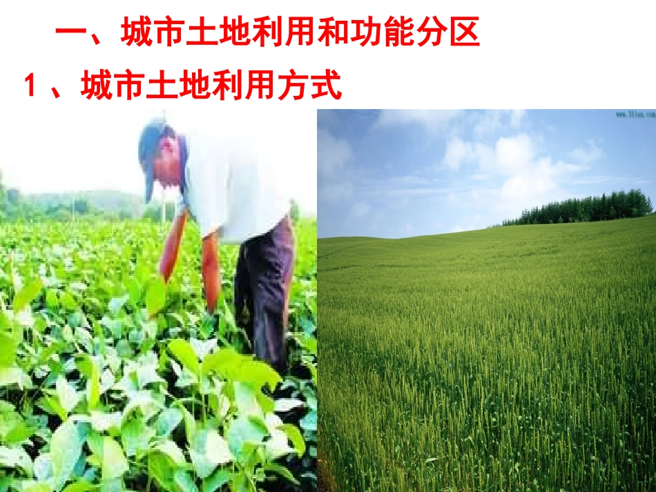 【地理】人教版必修2第二章第一节城市内部空间结构（课件）_第3页