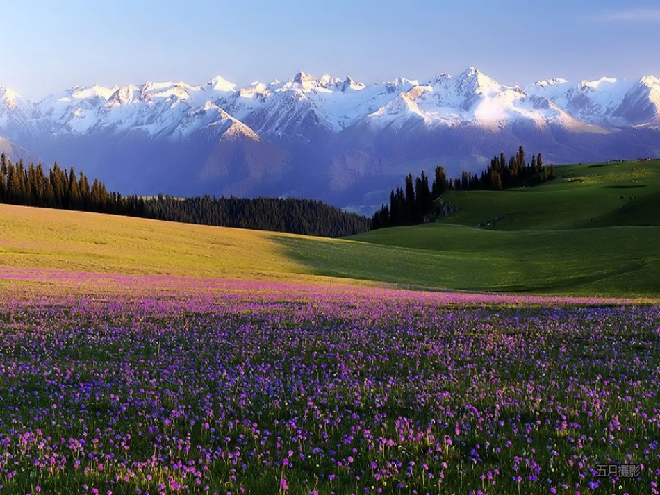 《我们爱你啊，中国》课件1_第2页