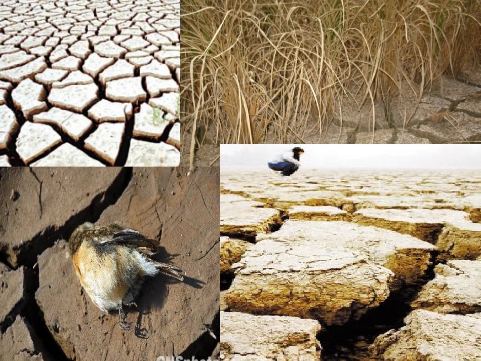 《七颗钻石》第二课时课件_第2页