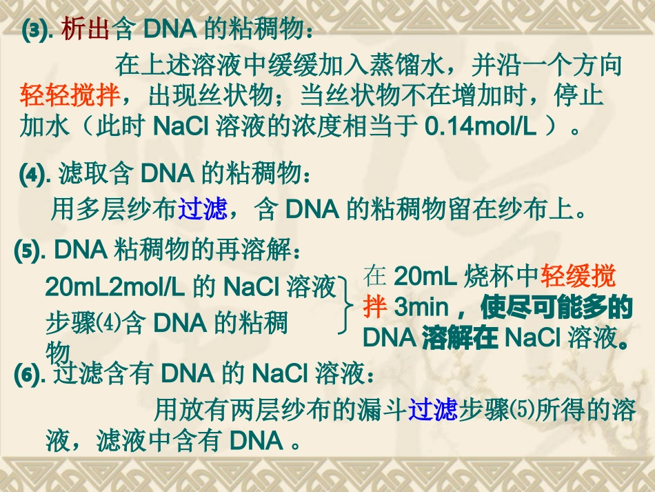 DNA的粗提取与鉴定_第3页