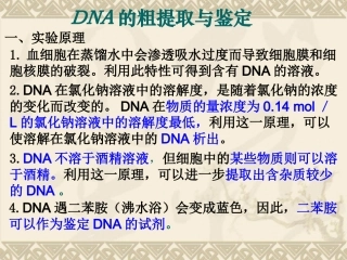 DNA的粗提取与鉴定