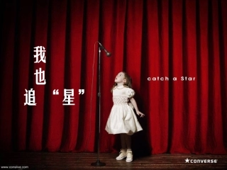 我也追星课件优秀