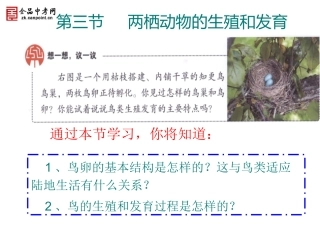 两栖动物的生殖发育2