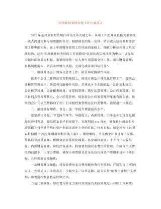 信用社财务的年度工作计划范文
