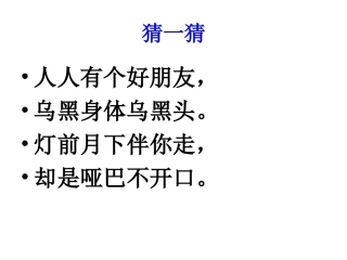 《我的影子》课件