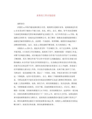 业务员工作计划总结