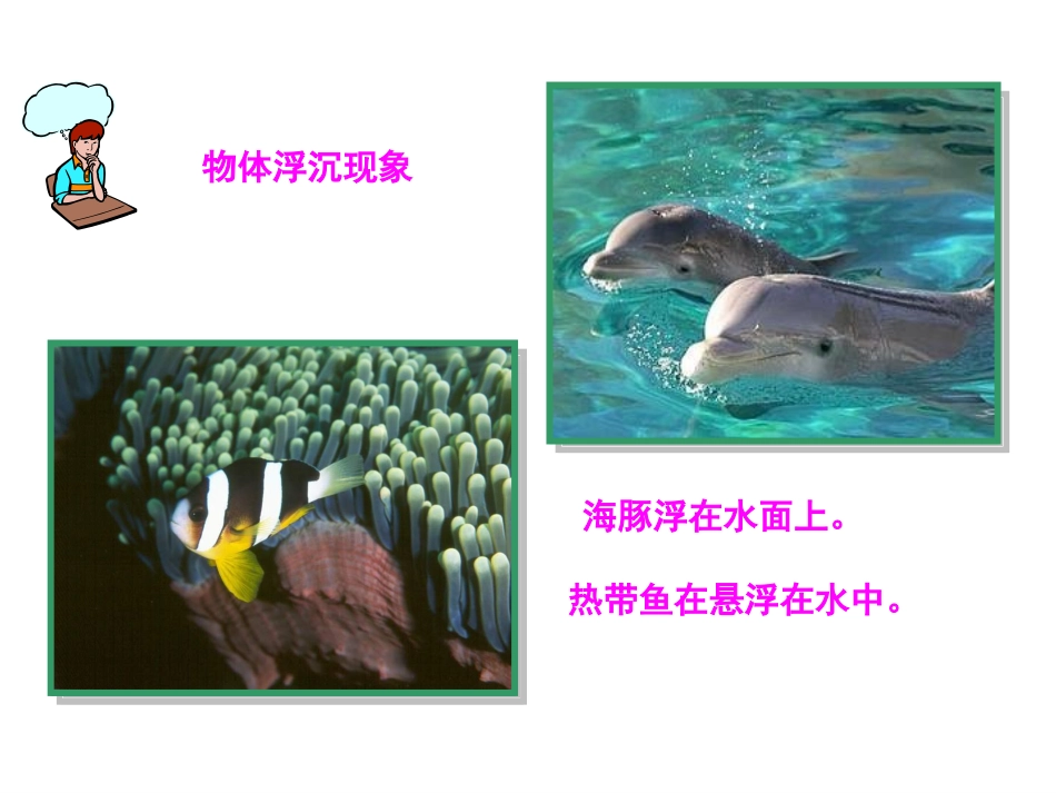 沪科版：八年级物理《物体的浮与沉》PPT课件_第3页
