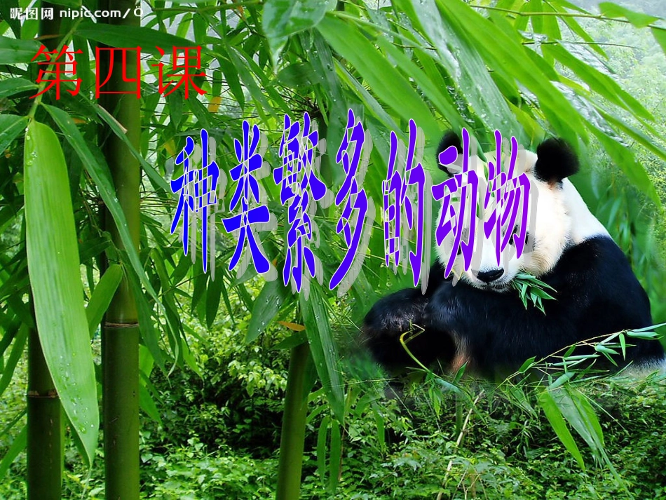 教科版科学六年级上册《种类繁多的动物》PPT_第1页