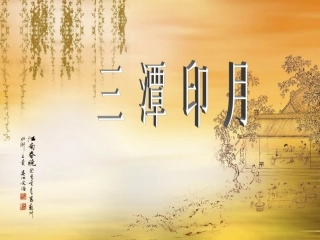 三潭印月（陈雪芹）