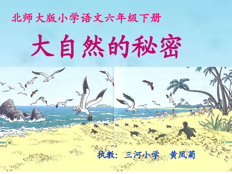 《大自然的秘密》_第1页