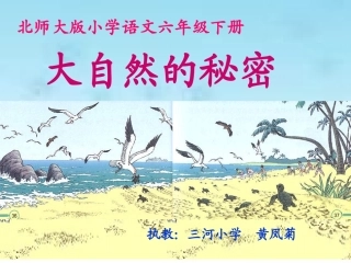 《大自然的秘密》