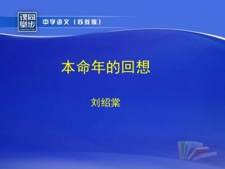《本命年的回想》课件