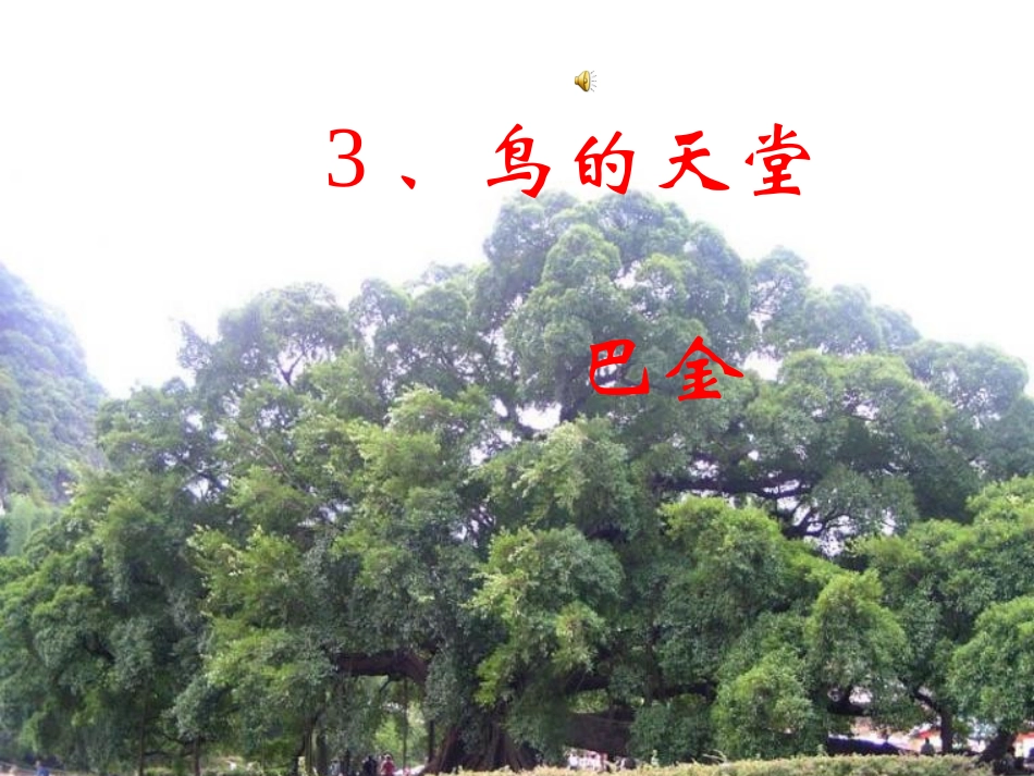 鸟的天堂(1)_第1页