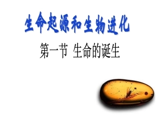 生命的诞生课件