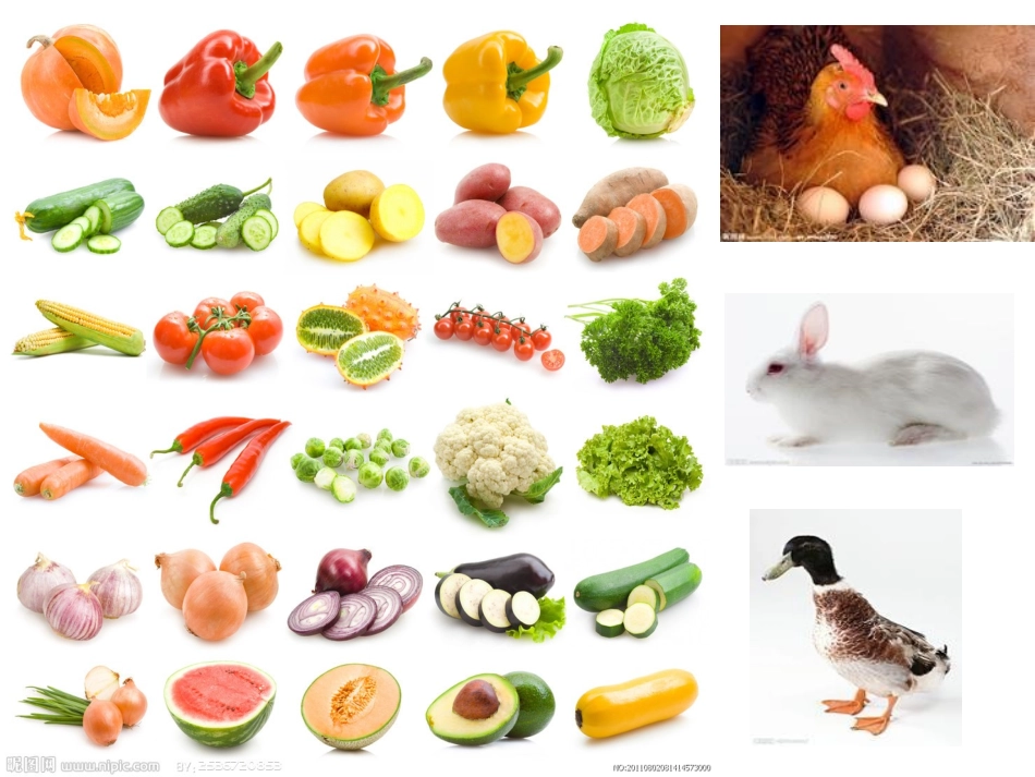 湘教版小学一年级音乐《买菜》课件_第2页