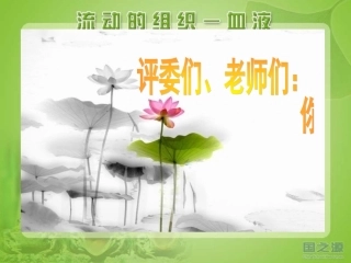 流动的组织——血液