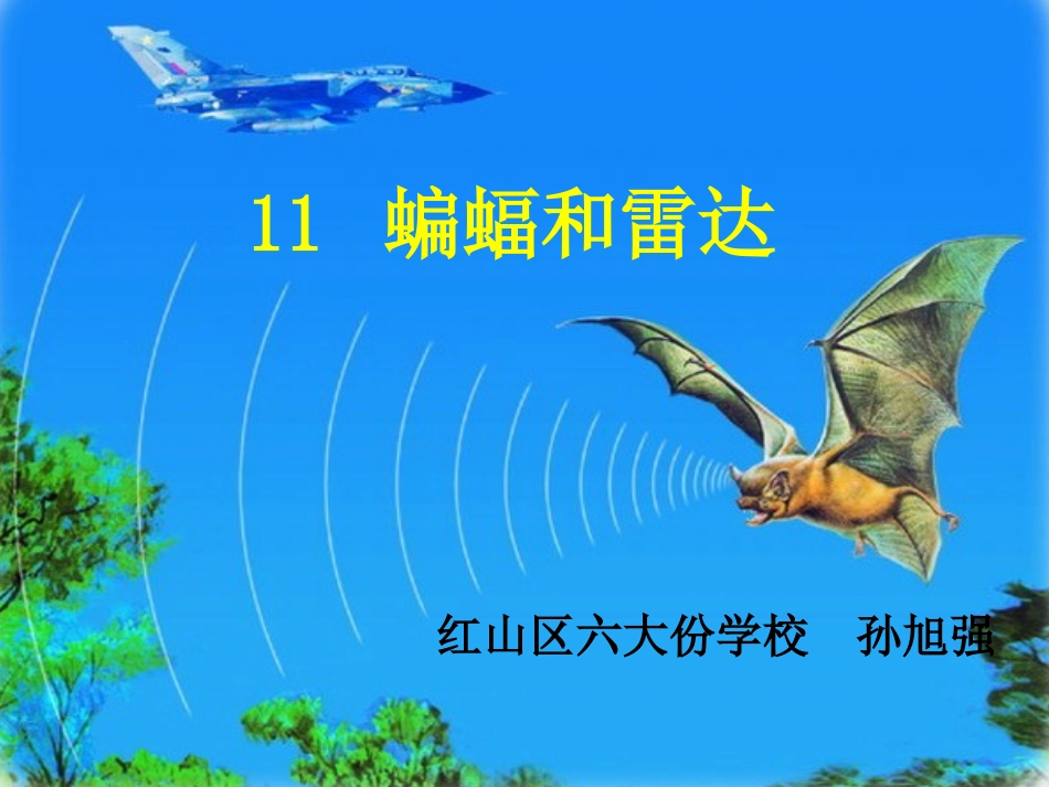 《蝙蝠和雷达》_第1页