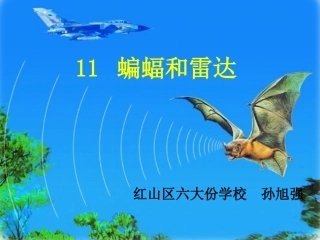 《蝙蝠和雷达》