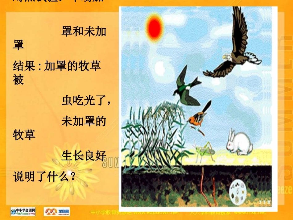 《生物与环境组成生态系统》_第2页