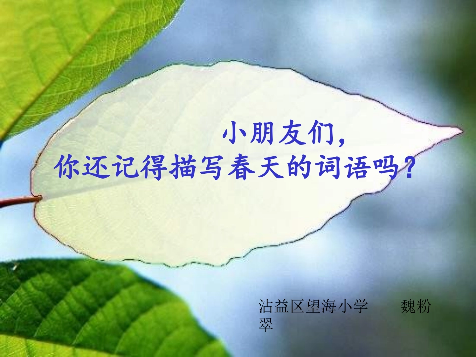 《2-春雨的色彩》课件_第1页