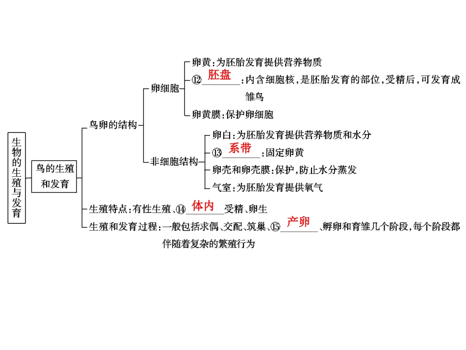 中考生物学专题知识整合·专题六生物的生殖与发育_第3页