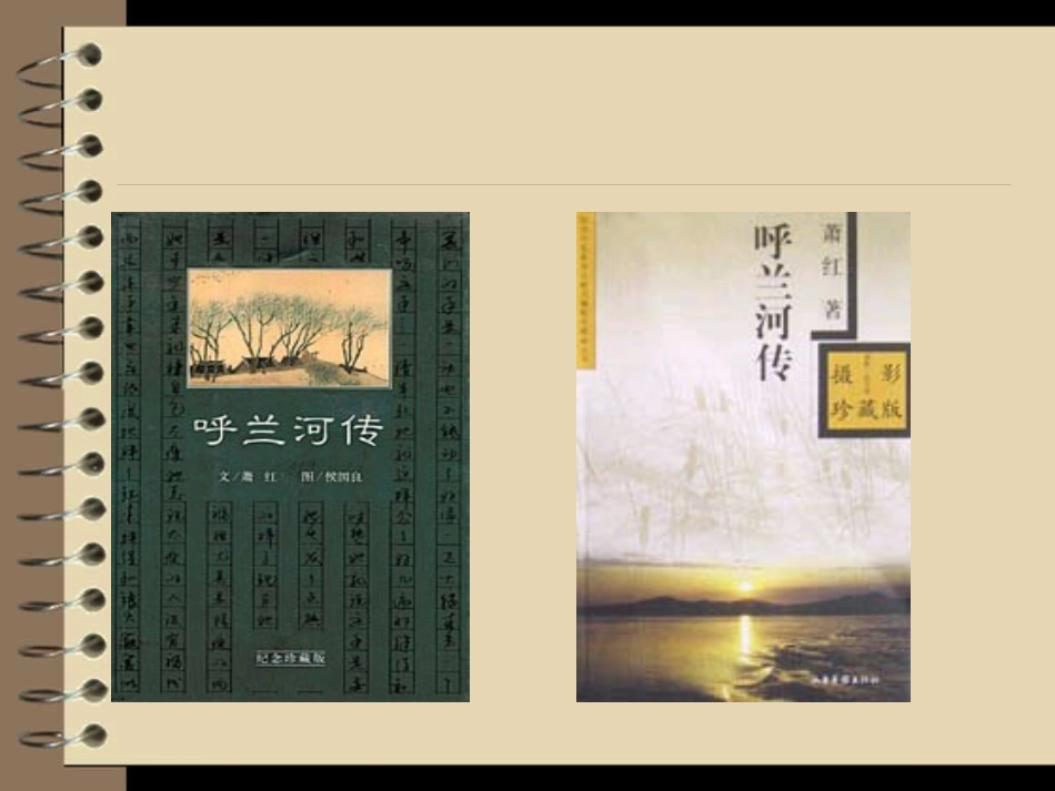 《祖父的园子》课件 (3)_第2页