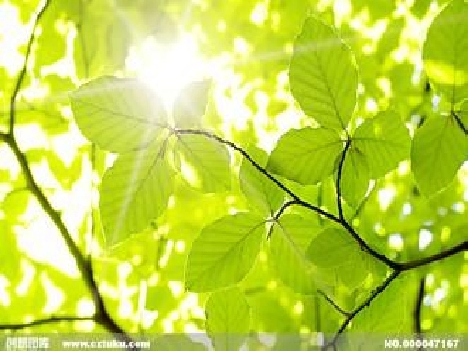 【人教版】一年级语文上册《2四季》公开课课件_27_第1页