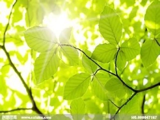 【人教版】一年级语文上册《2四季》公开课课件_27