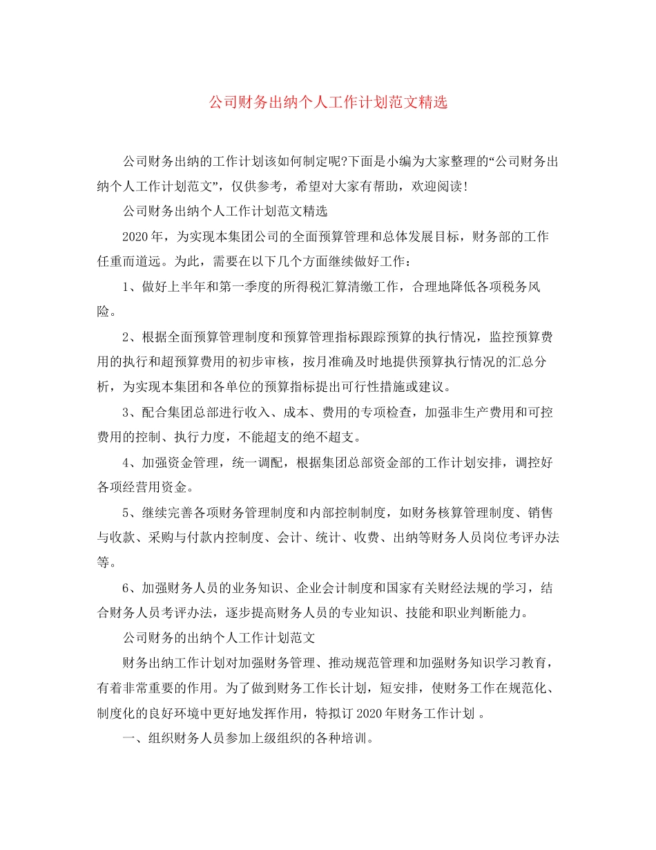 公司财务出纳个人工作计划范文精选_第1页