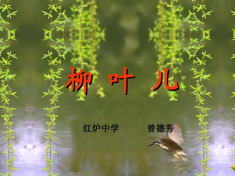《柳叶儿》课件1_第2页