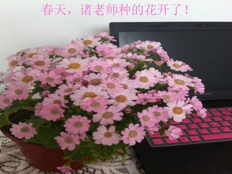 四个太阳优秀课件_第1页