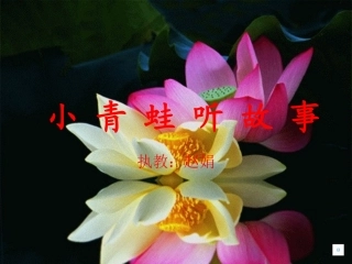 《小青蛙听故事》