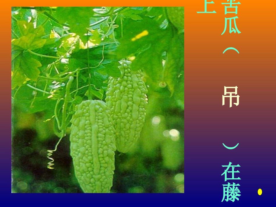 《一次比一次有进步》课件 (3)_第3页