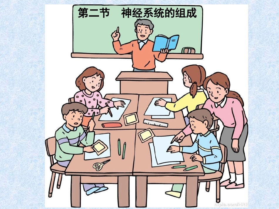 下册第四单元第6章第二节神经系统的组成（15张）（共15张PPT）_第1页