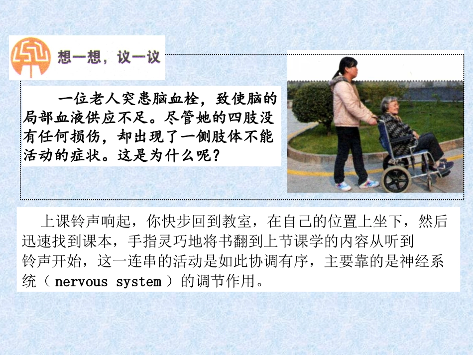 下册第四单元第6章第二节神经系统的组成（15张）（共15张PPT）_第3页